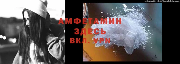 крисы Наволоки