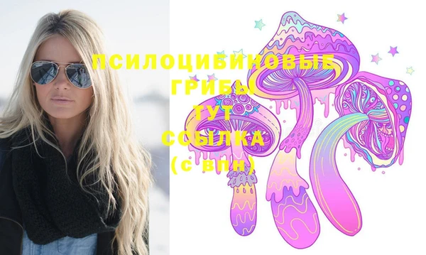 индика Нея