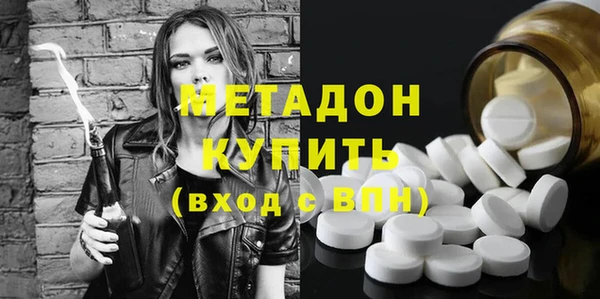 индика Нея