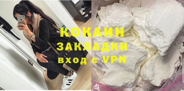 индика Нея