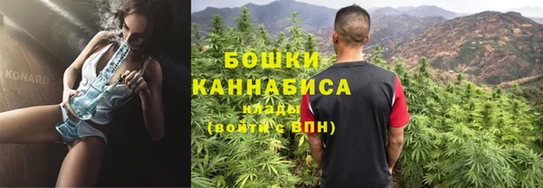 индика Нея