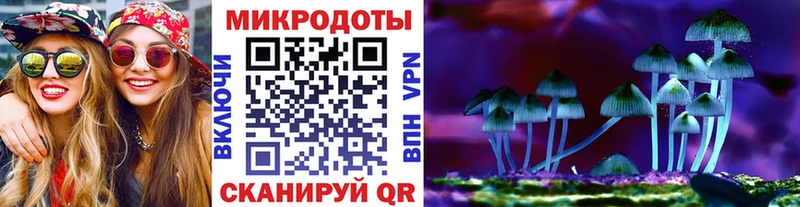 Псилоцибиновые грибы мухоморы  блэк спрут tor  Кирсанов 